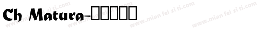 Ch Matura字体转换